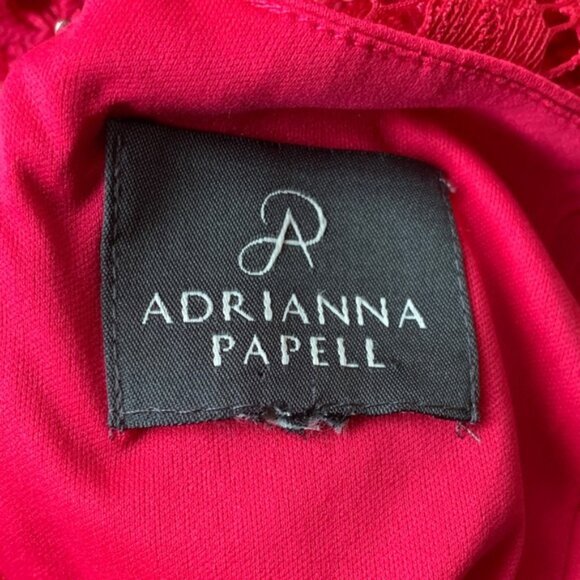 Adrianna Papell Vibrant Pink Lace Dress - Picture 11 of 12